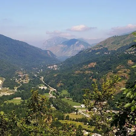 Coecilia